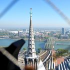 Sight at east coast of Rhine from top of the Cologne Cathedral.