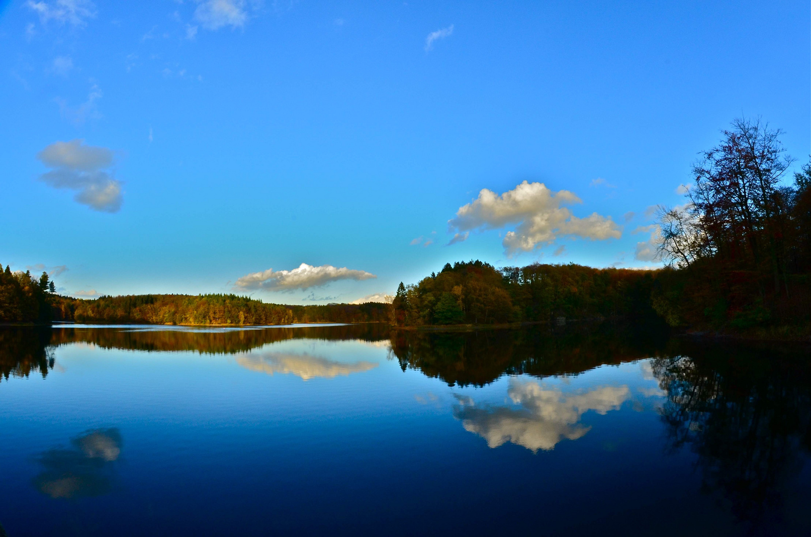 sight-See-ing mit Fisheye