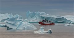 sightseeing among the icebergs