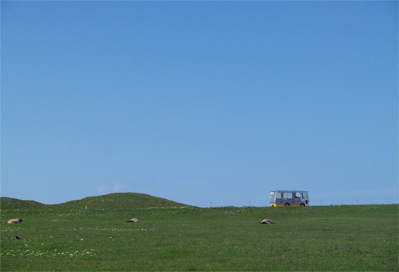 Sightseeing auf Helgoland