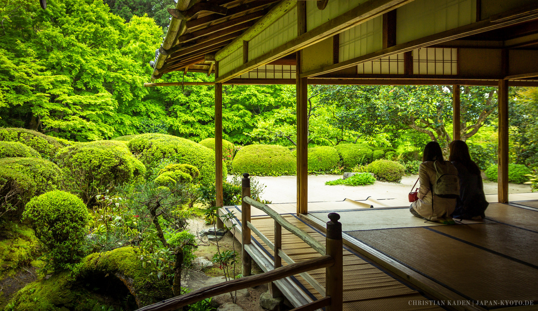 Sightseeing in Japan