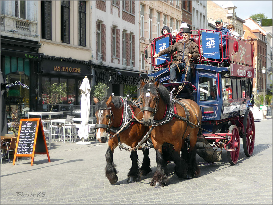 Sightseeing Tour mit  "2 Kaltblut-PS"