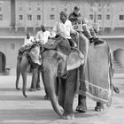 Sightseeing vom Elefanten aus in der Festung Amber (Indien)