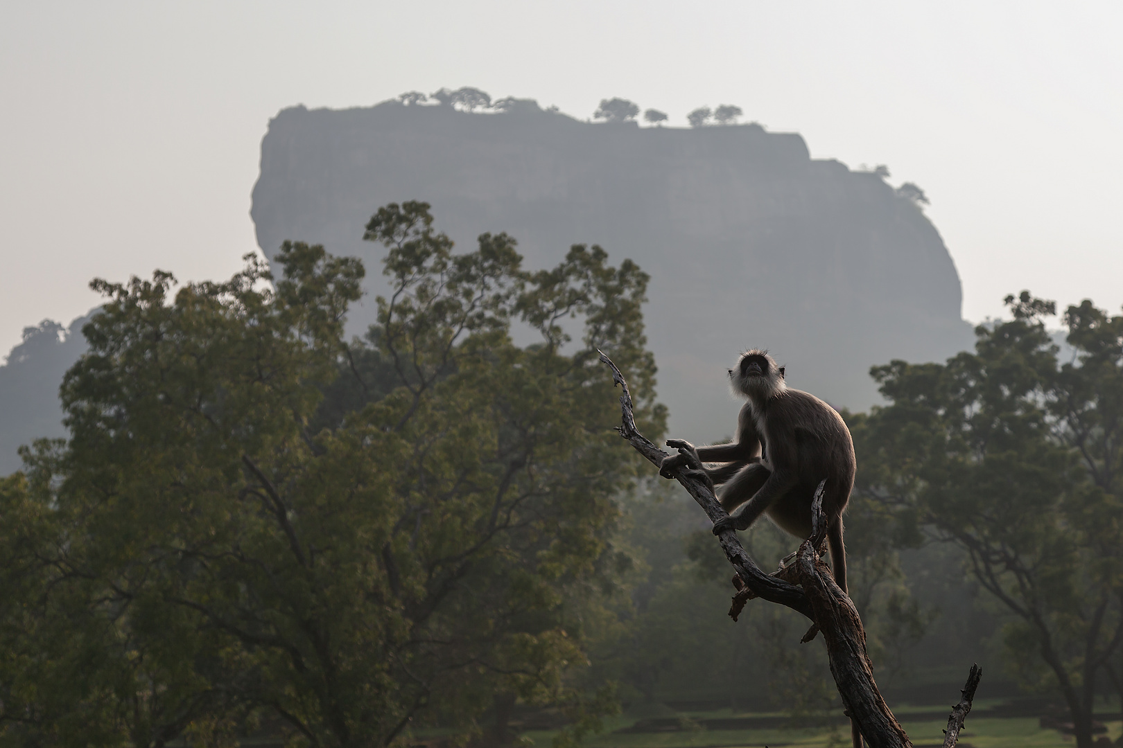 Sigiriya in Sri Lanka (2)