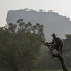 Sigiriya in Sri Lanka (2)