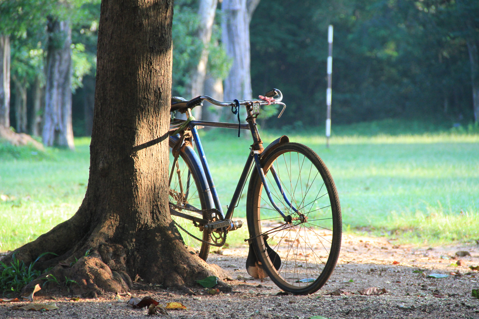 Sigiriya-morning light