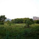 Sigiriya Rock @ sunrise