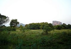 Sigiriya Rock @ sunrise