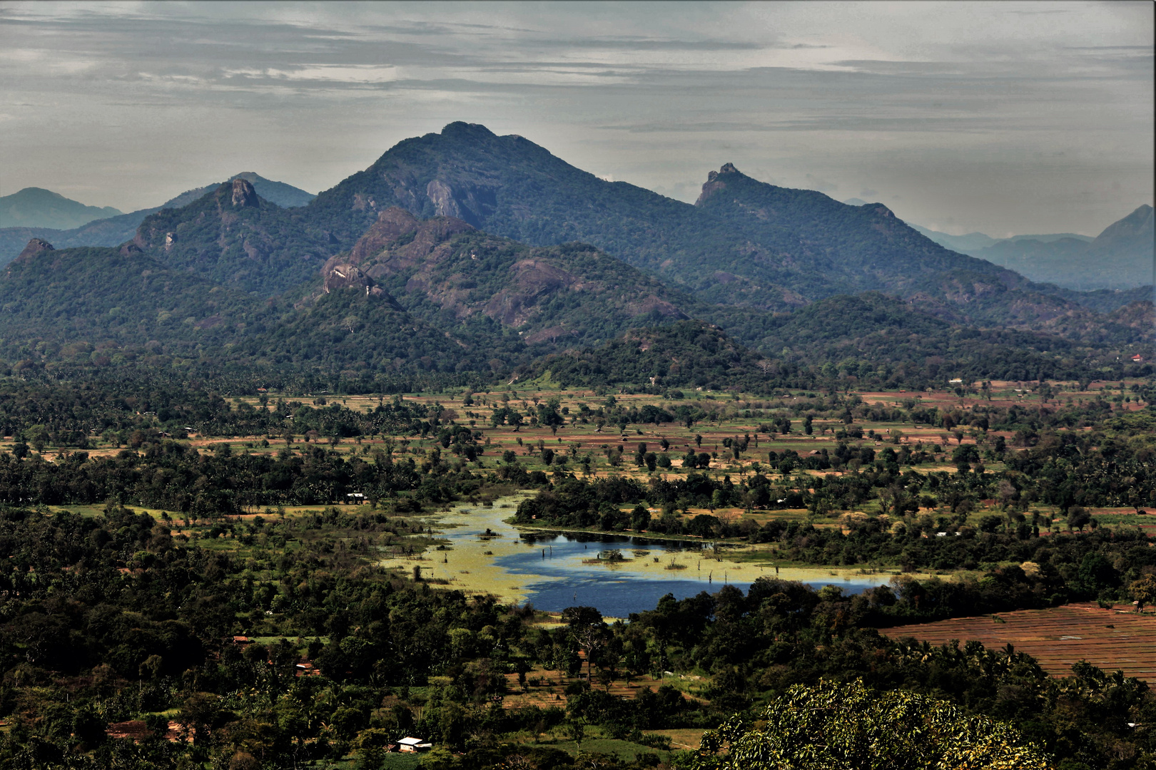 Sigiriya valley