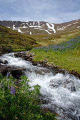 Siglufjordur, Island