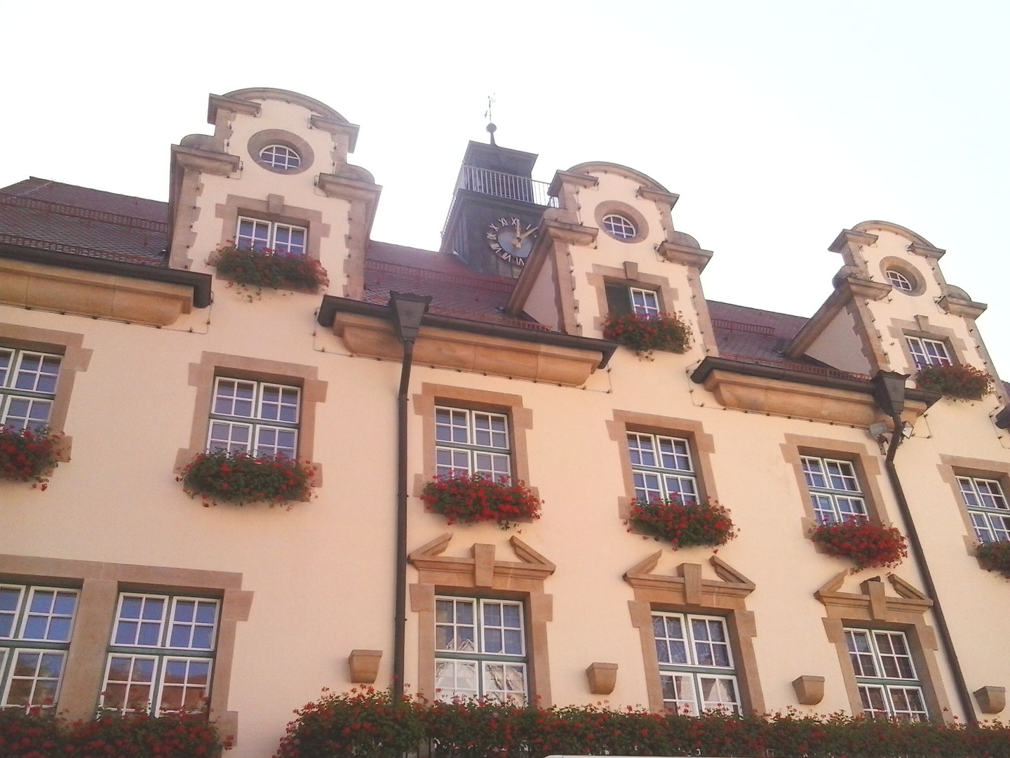 Sigmaringen