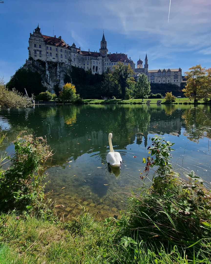 Sigmaringen 