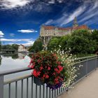 Sigmaringen en fleurs