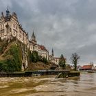 Sigmaringen - Hochwasser auf der Donau am 23.01.2018