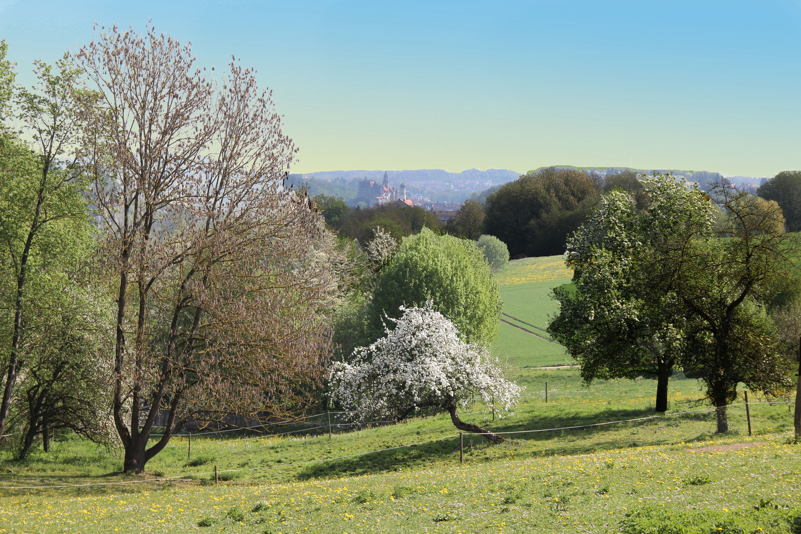 Sigmaringen im Frühling