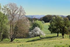 Sigmaringen im Frühling