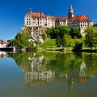 Sigmaringen, Schloss