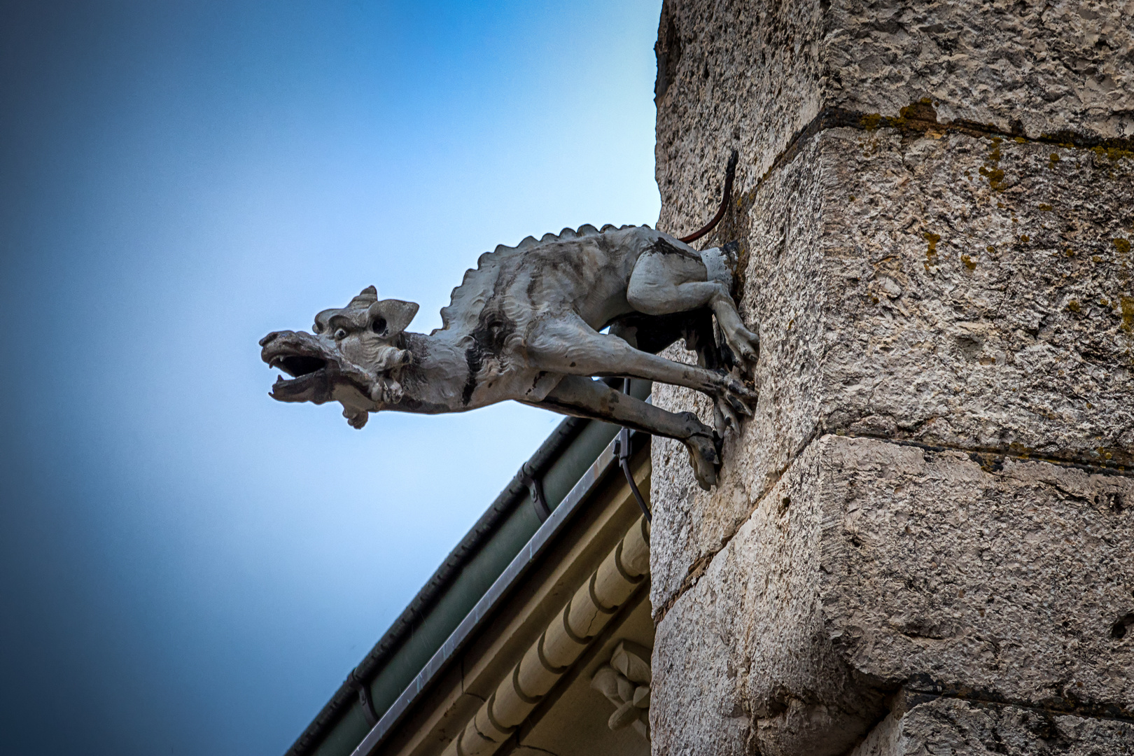 Sigmaringen Schloss - der Wächter des Schlosses