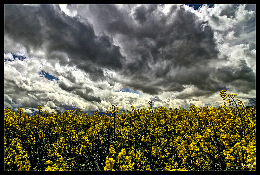 sign of a coming storm