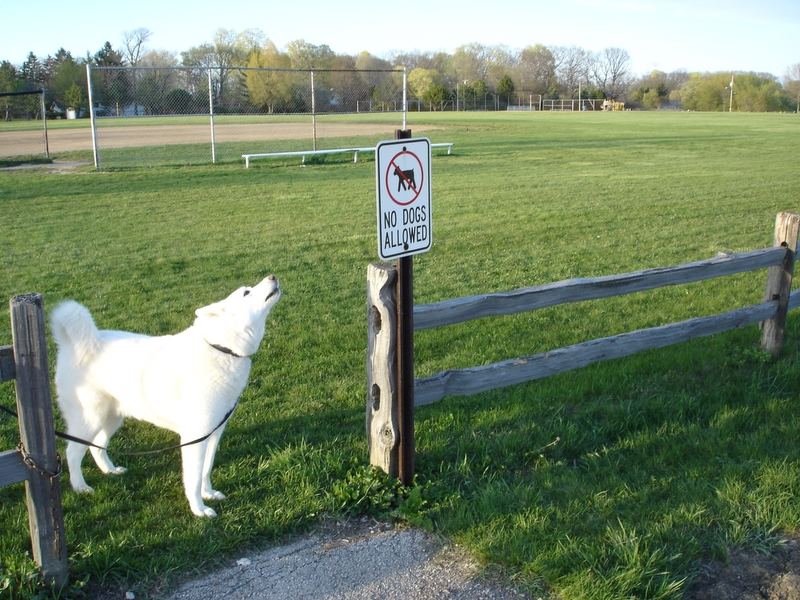 Sign, sign