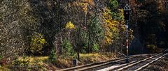 SIGNAL AM RANDE EINES HERBSTWALDES