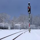 Signal auf Rot am 24.1.2021 in RS-Güldenwert-(6.2.2021)