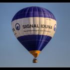 Signal - Iduna