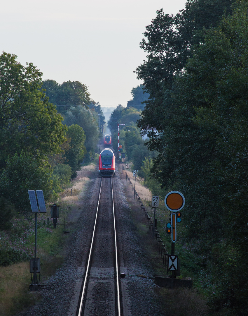 Signalhalt