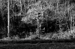 Signalwirkung