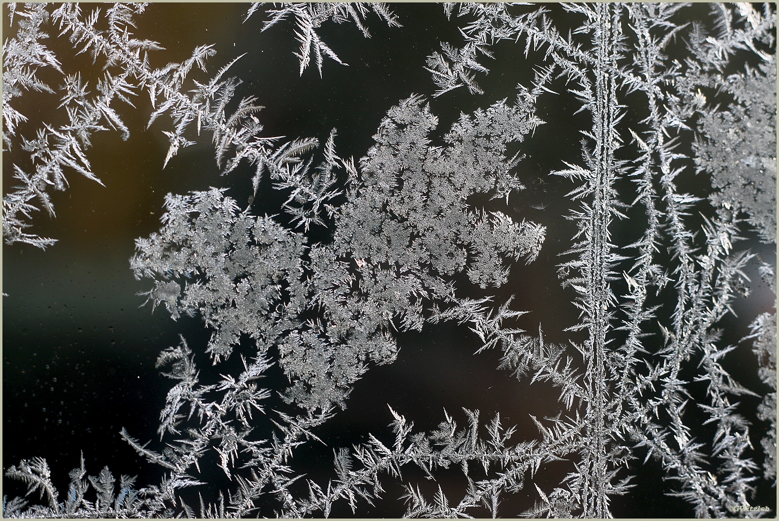 Signature hivernale sur ma fenêtre / Der Winter hat unterschrieben