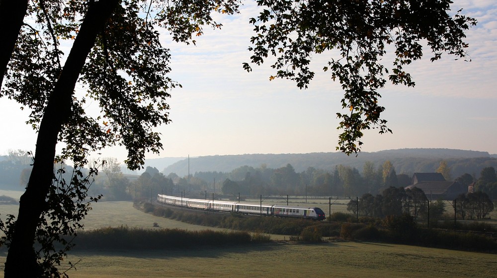 signaux d'arrière