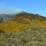 Signora Etna IV