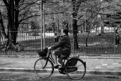 Signora in bicicletta, Vigevano