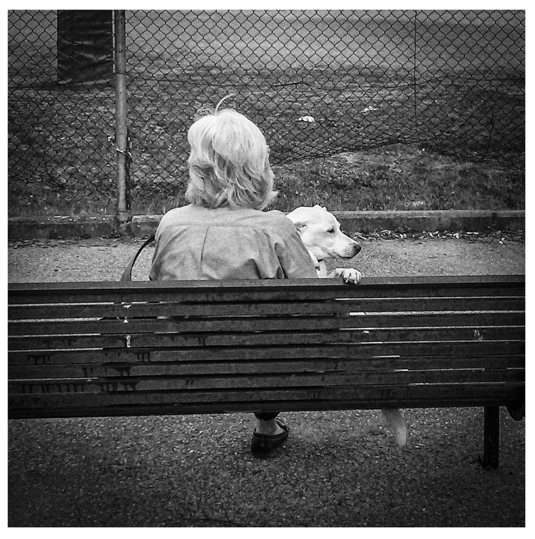 Signora in panchina con cagnolino