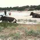 Signore in spiaggia