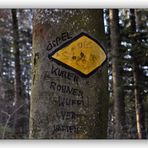 - signpost -