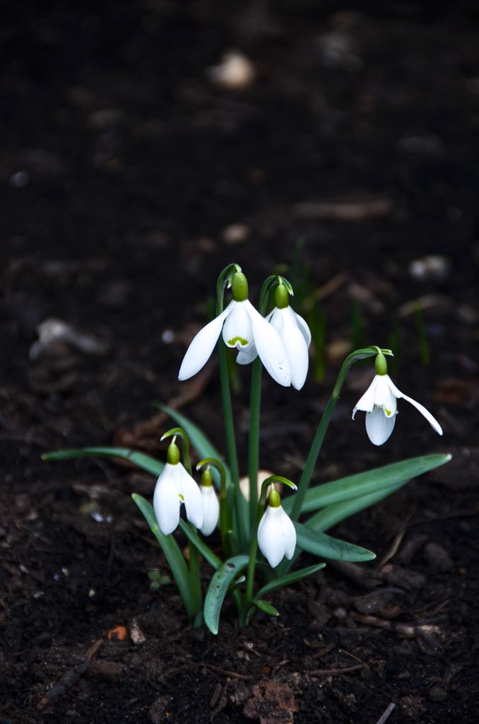 Signs of spring