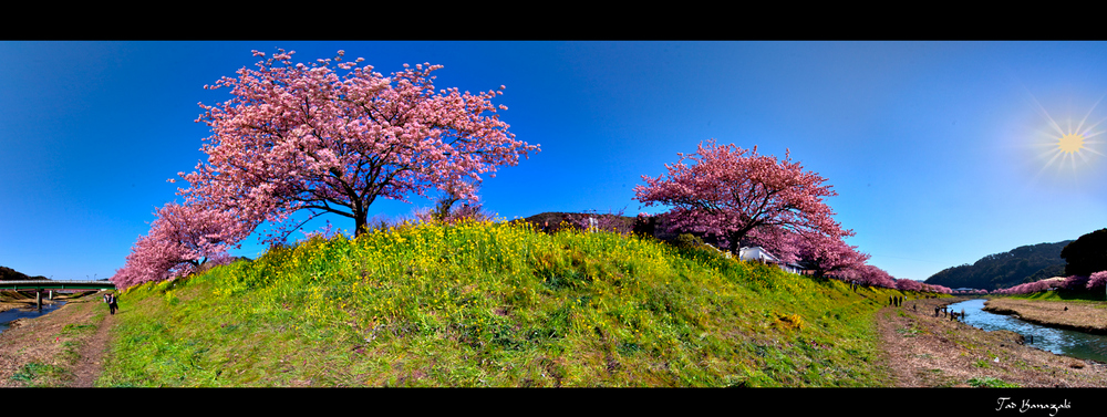 Signs of spring   [Zeichen des Frühlings]