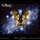 "Signs - Zwillinge"