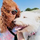 User Profile Photo