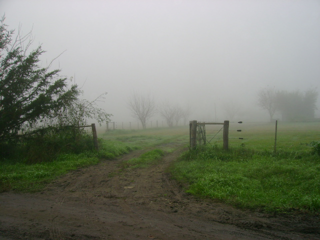 Sigue la niebla