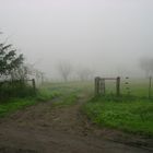 Sigue la niebla