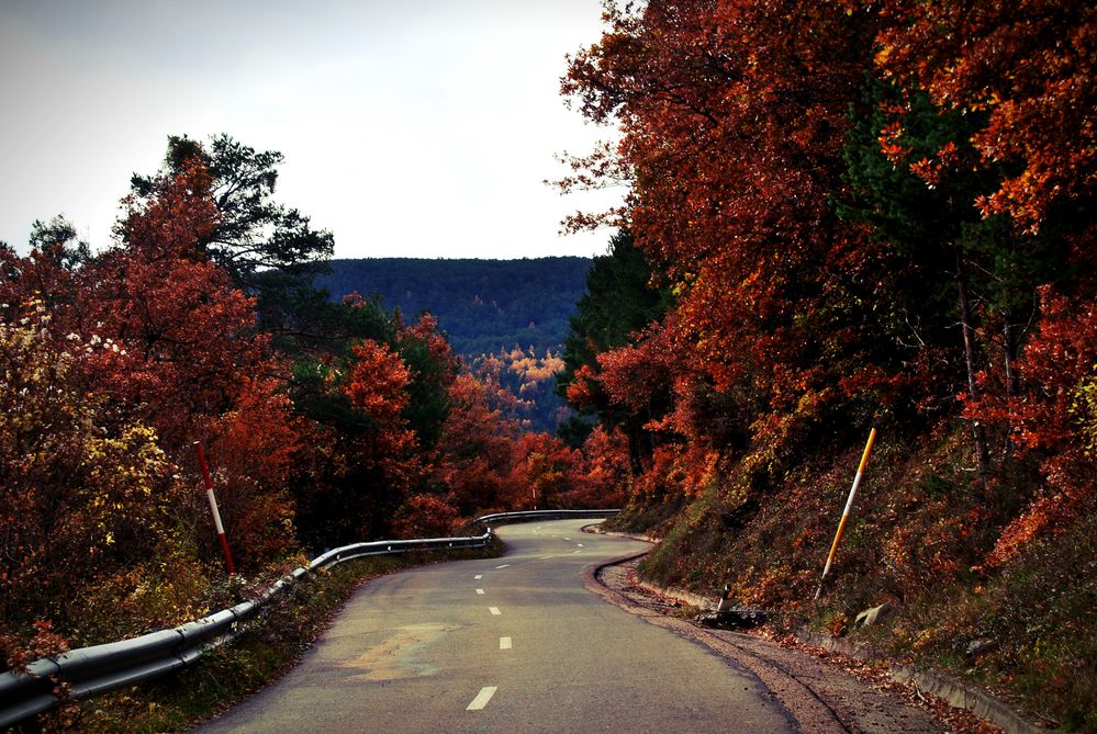 Sigue tú camino. by ClaudiaOrtiz 