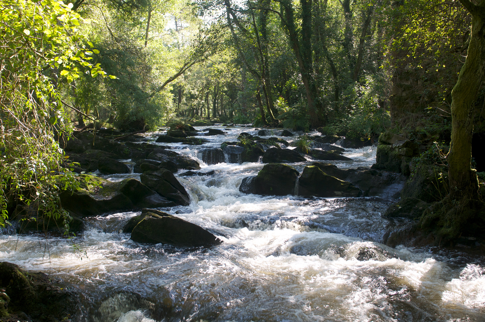 Siguiendo el río