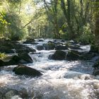 Siguiendo el río