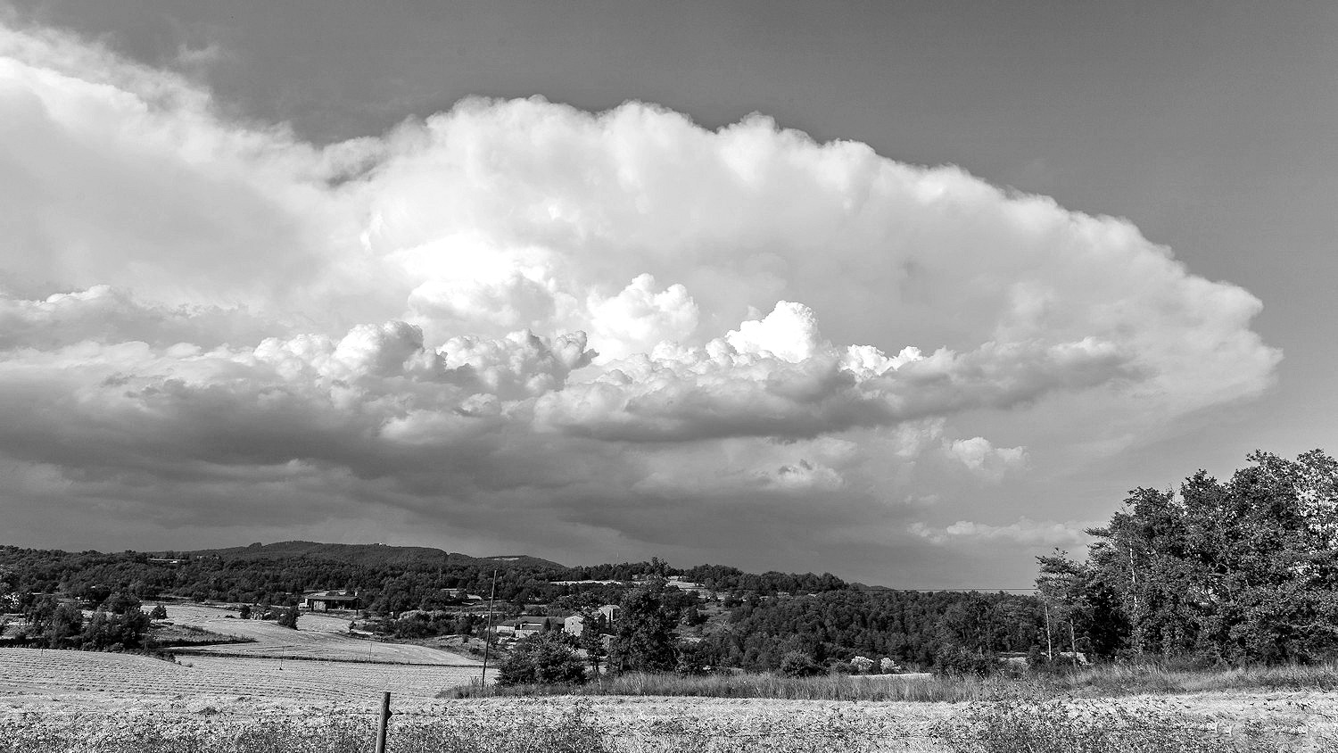 Siguiendo la tormenta