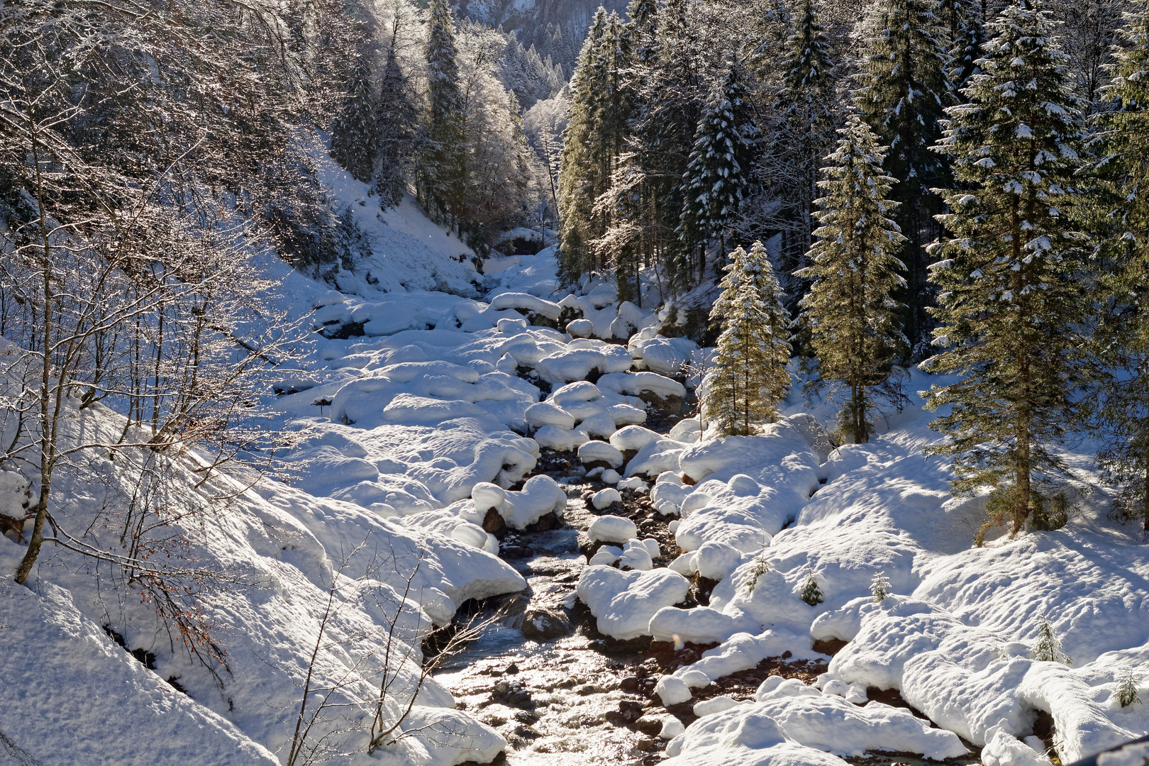 Sihl (Hinter Aueli) SZ