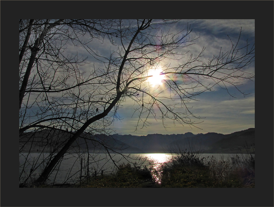 Sihlsee im Gegenlicht