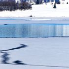 Sihlsee Spiegelung