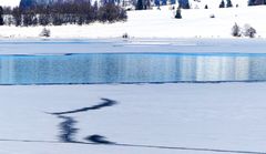 Sihlsee Spiegelung